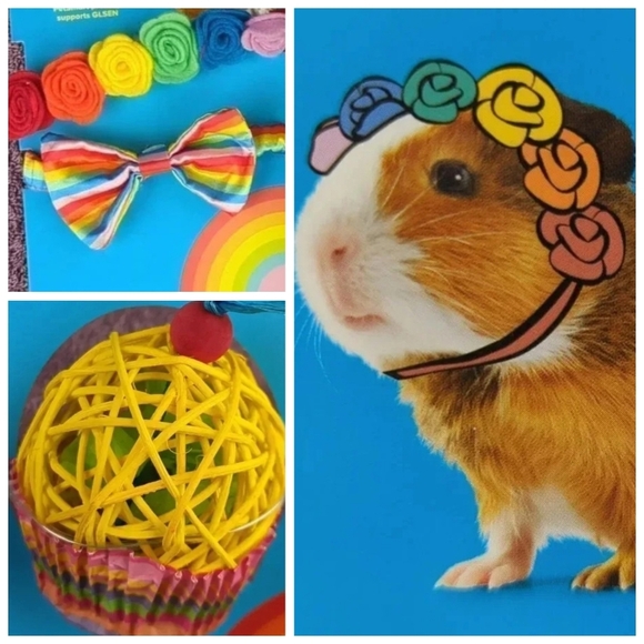 Pride Themed Small Animal Accessories & Cupcake Shaped Chew Toy - Picture 1 of 8